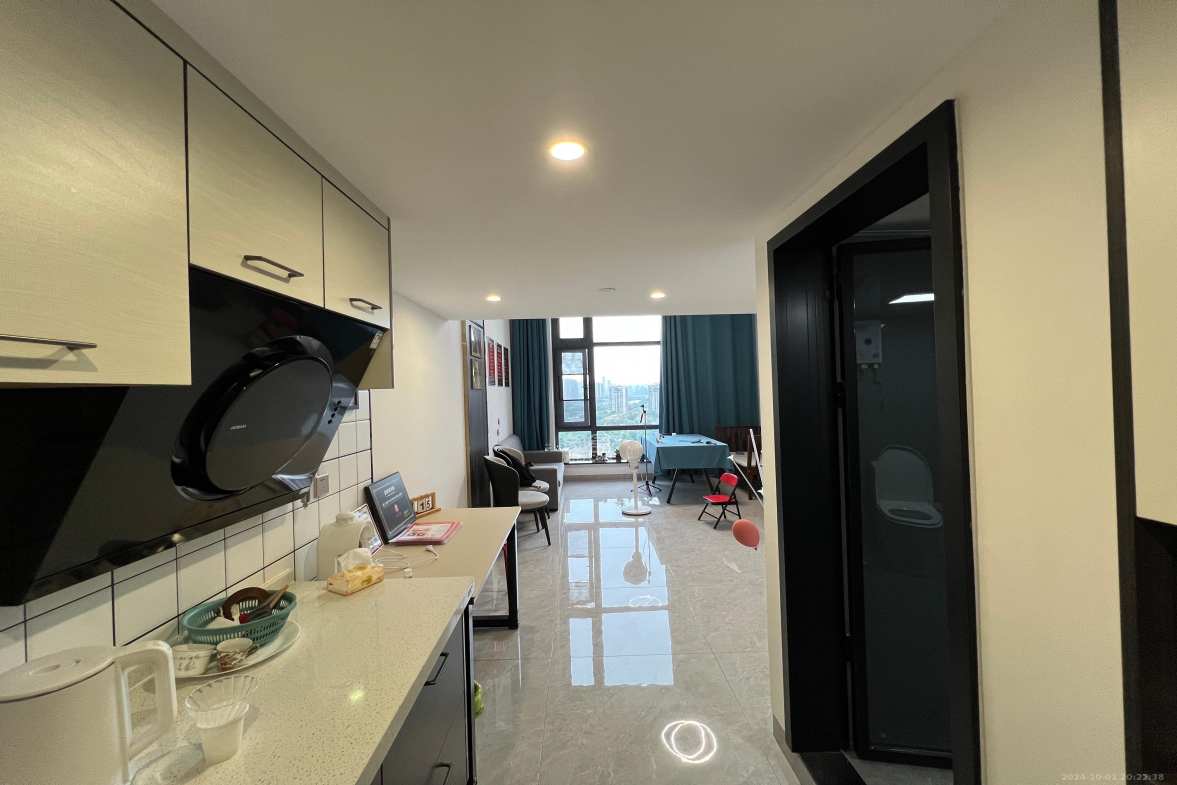 藏珑湖上公馆  1室1厅1卫   2700.00元/月室内图