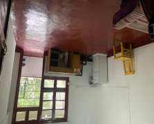 曾家湾小区  1室0厅0卫    1000.0元/月