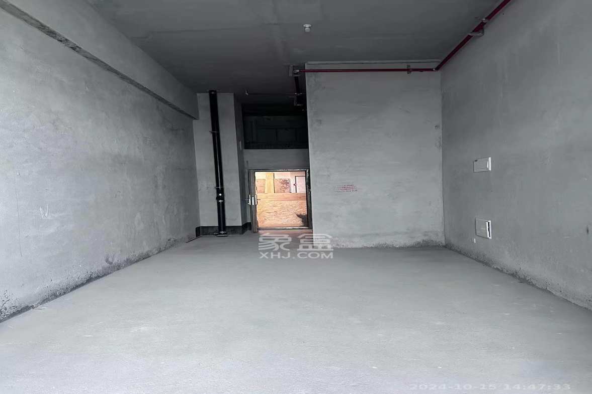 中建宝铂公馆  1室1厅1卫   3100.00元/月室内图1