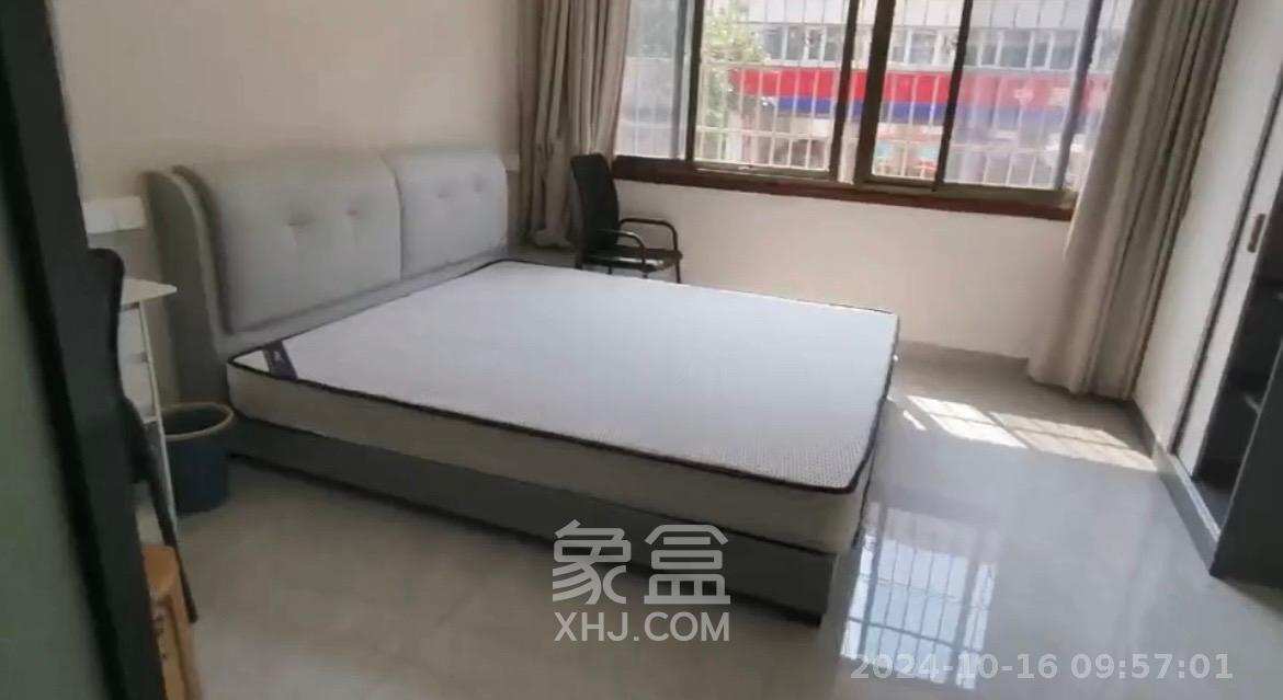 红商建材市场  1室1厅1卫   1300.00元/月室内图1