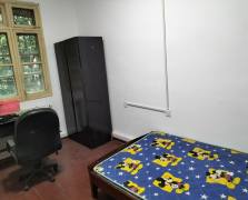 军干所（娄底军休）  3室2厅1卫    900.0元/月