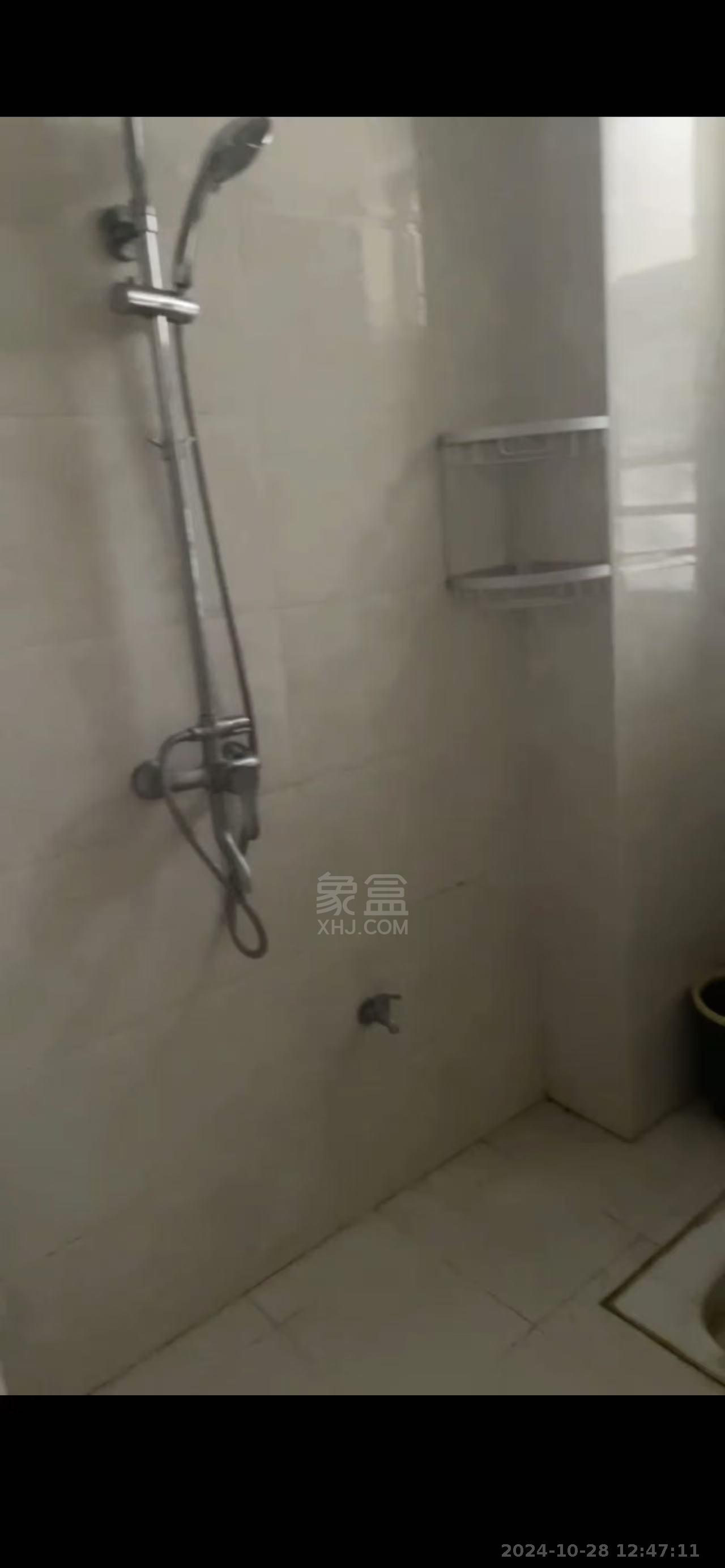 佳兆业金域天下三期  1室1厅1卫   1200.00元/月