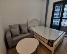 碧桂园星荟  1室1厅1卫    1000.0元/月