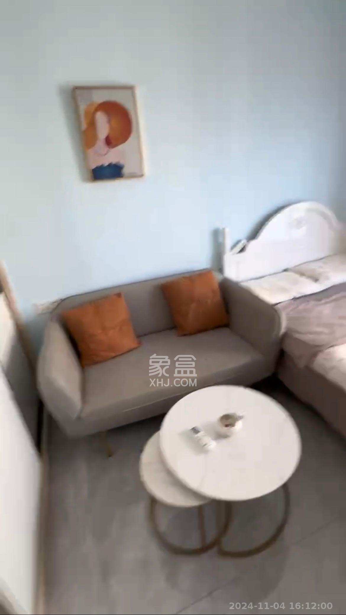 碧桂园印象  1室1厅1卫    1450.0元/月室内图1