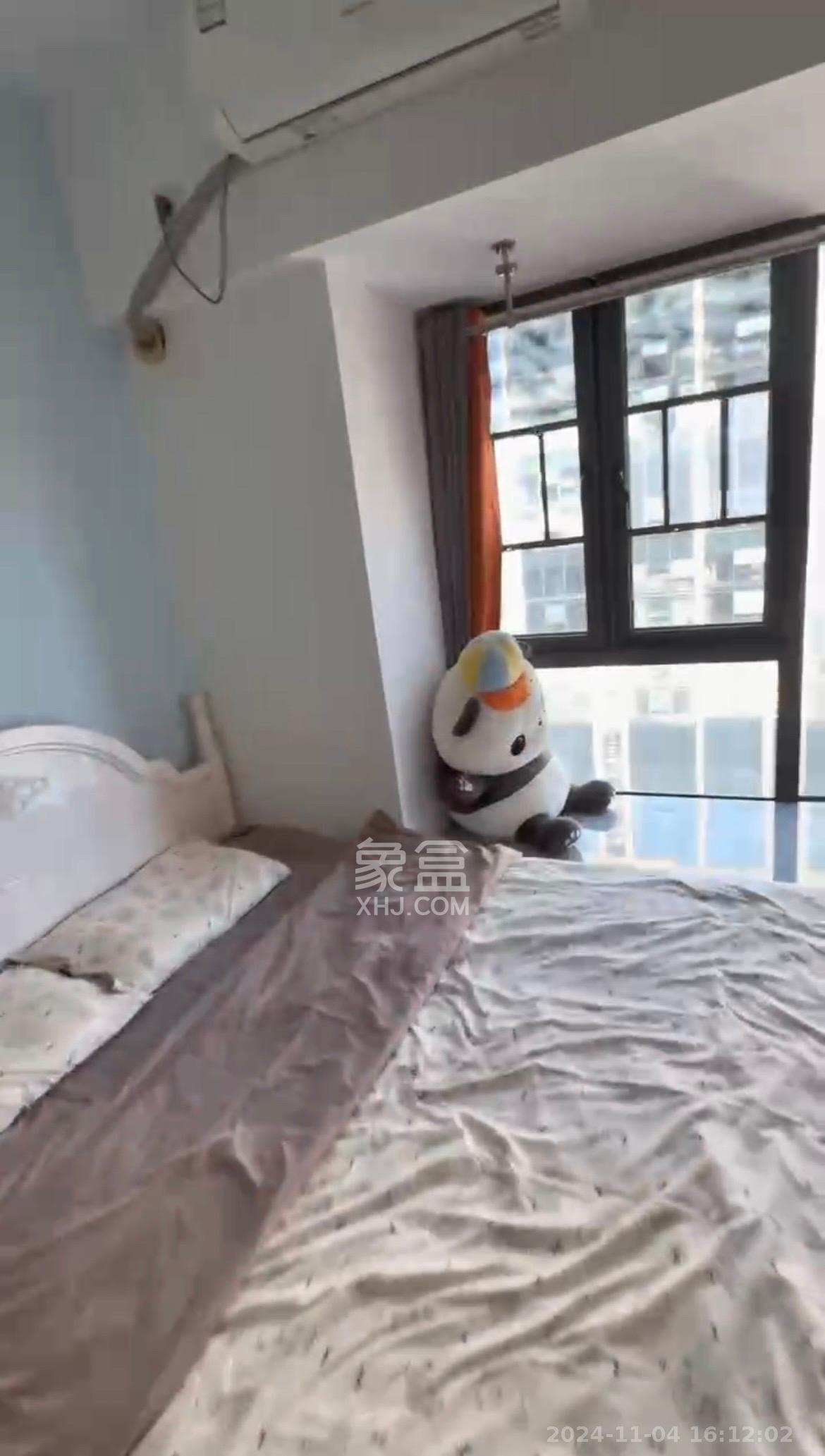 碧桂园印象  1室1厅1卫    1450.0元/月室内图