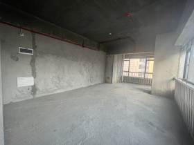 大汉吉星汇  1室1厅1卫    42.8万