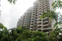 椰海明珠（迈瀛路）