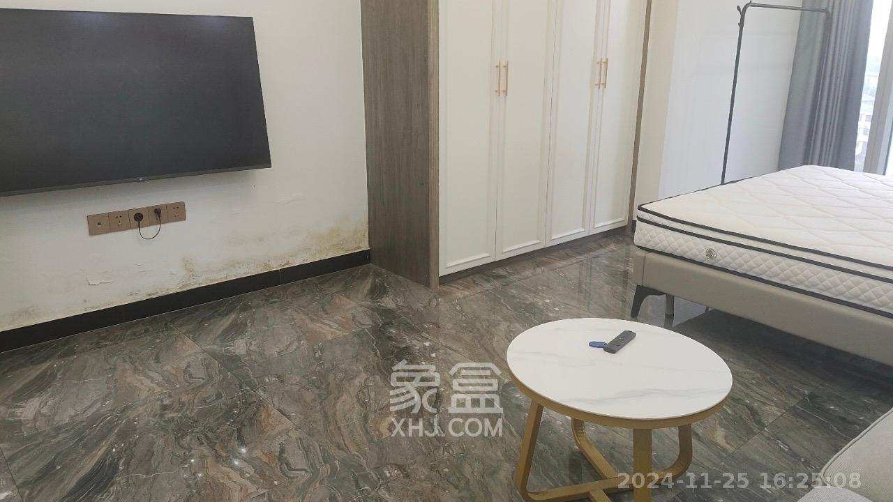 汇景发展环球中心  1室1厅1卫   2800.00元/月室内图