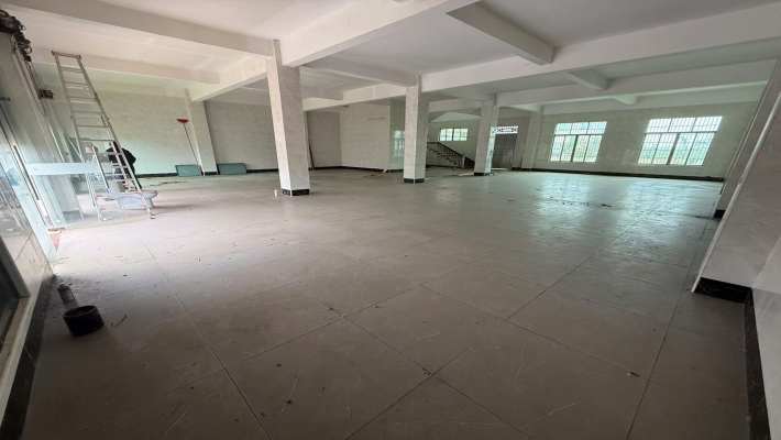 红旗镇红旗大道2-1号室内图1