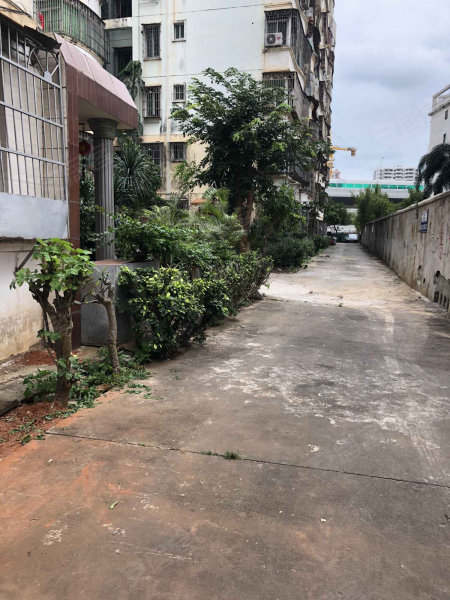 市场监督管理局宿舍（琼州大道26号）室内图1