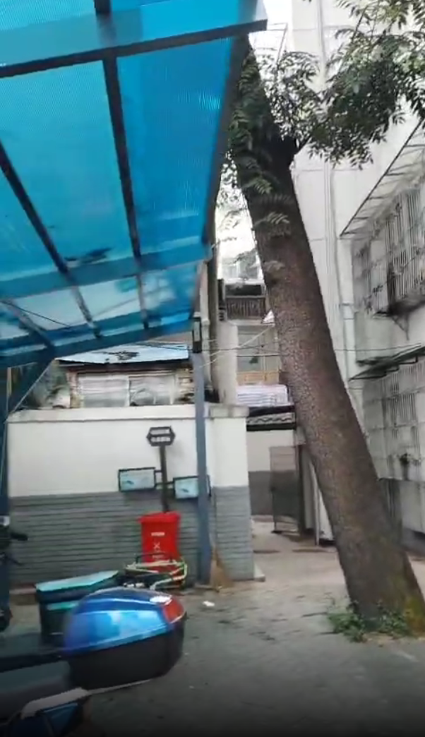 文庙坪小学宿舍室内图1