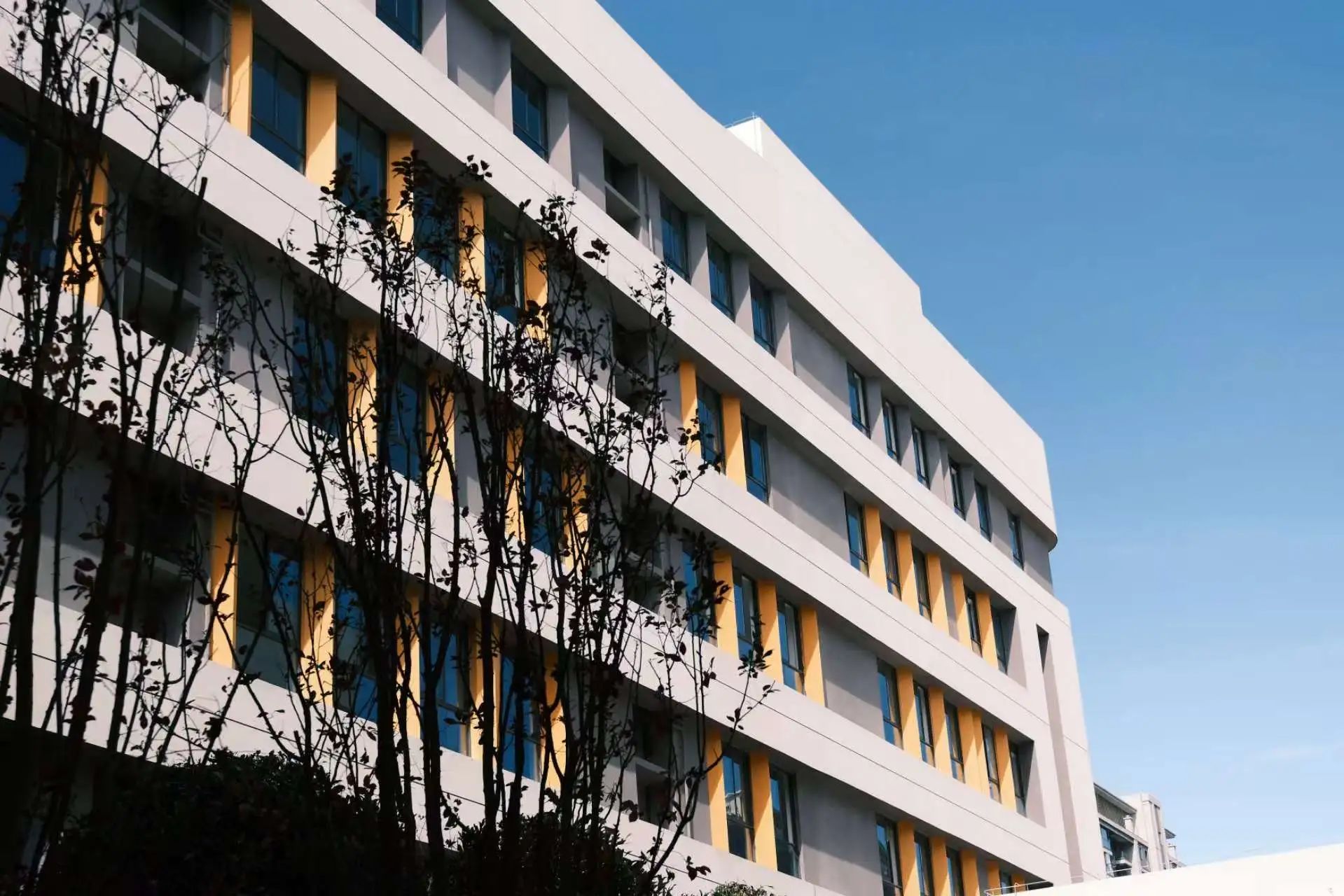 麓山国际洋湖实验学校树北校区