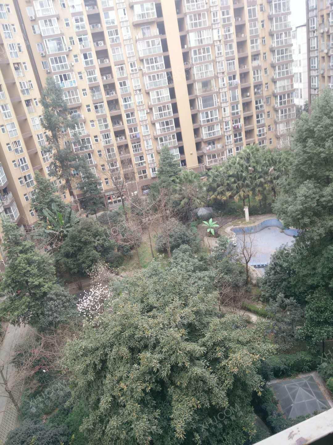 千和馨城  1室1厅1卫    1550.0元/月室内图