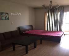 天鹅湖花园  1室1厅1卫   2500.00元/月