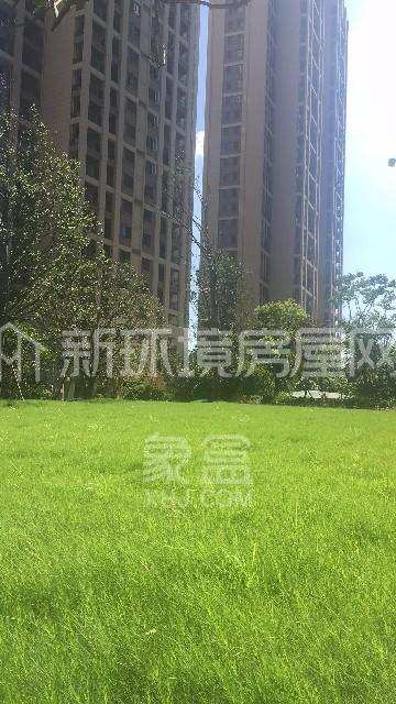 湘江新城，嘉宇银杉，精装两房，交通便利，价格美丽小区图