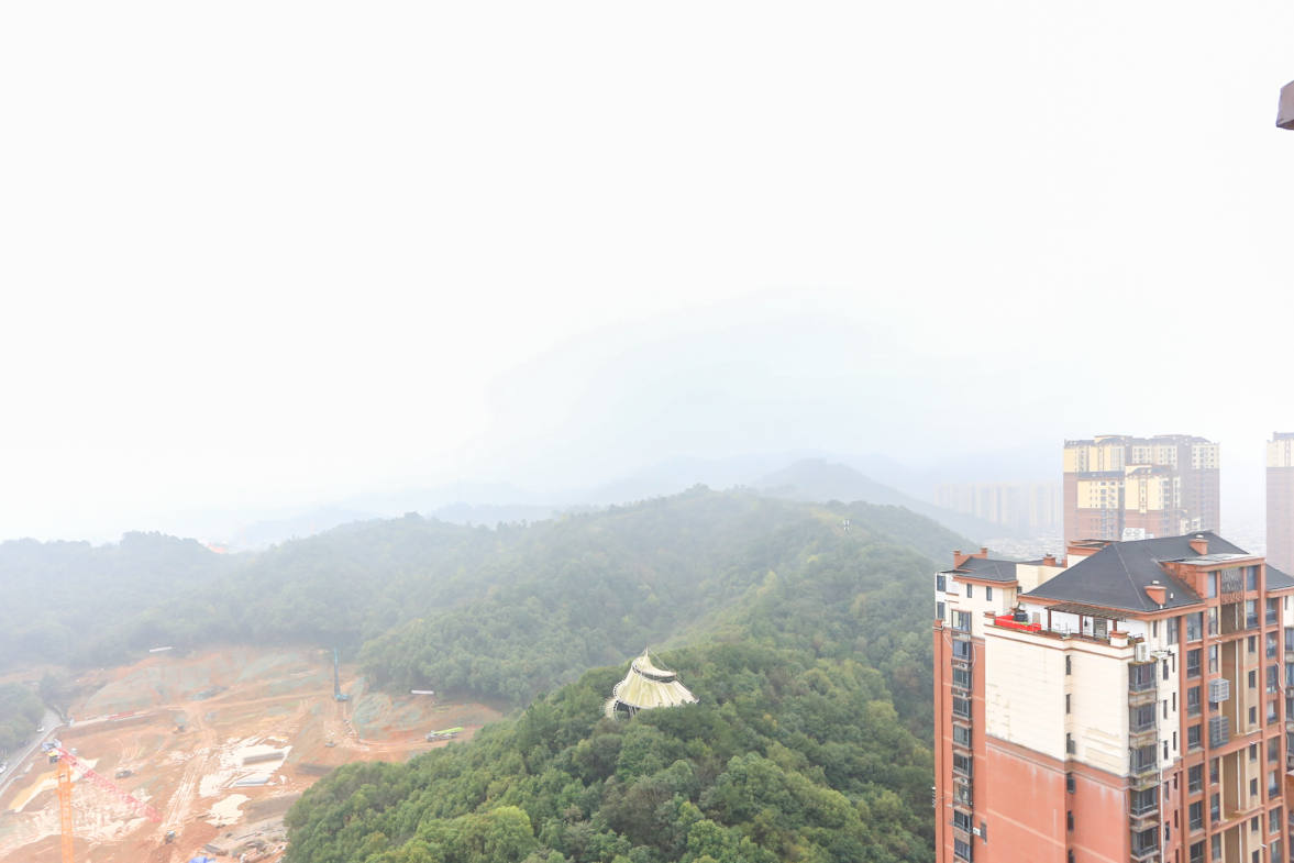 珠江东方明珠（新地东方明珠）三期  3室2厅1卫   54.00万其他
