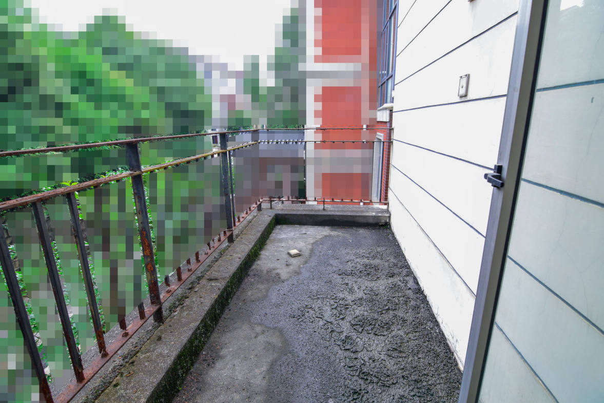 普瑞斯堡  5室3厅4卫    458.0万阳台