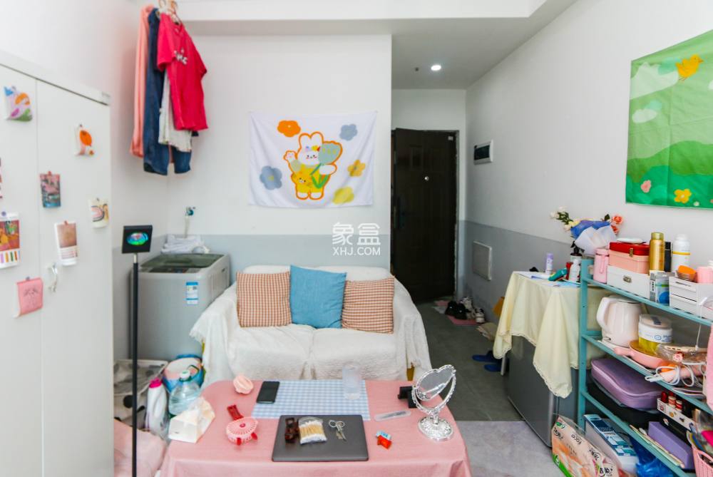 洋湖时代 1室1厅0厨0卫 31.00万