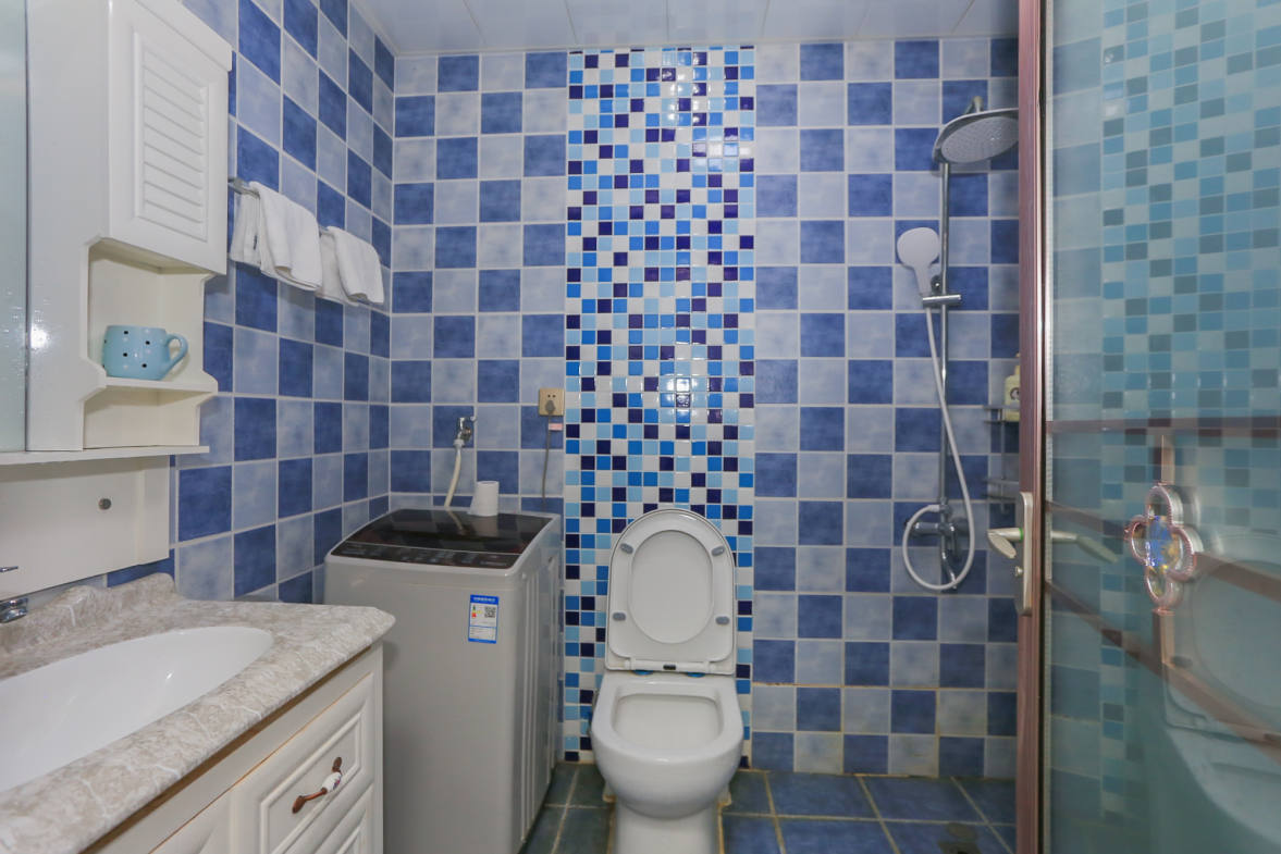 奥克斯缔壹城  1室1厅1卫    22.0万卫生间