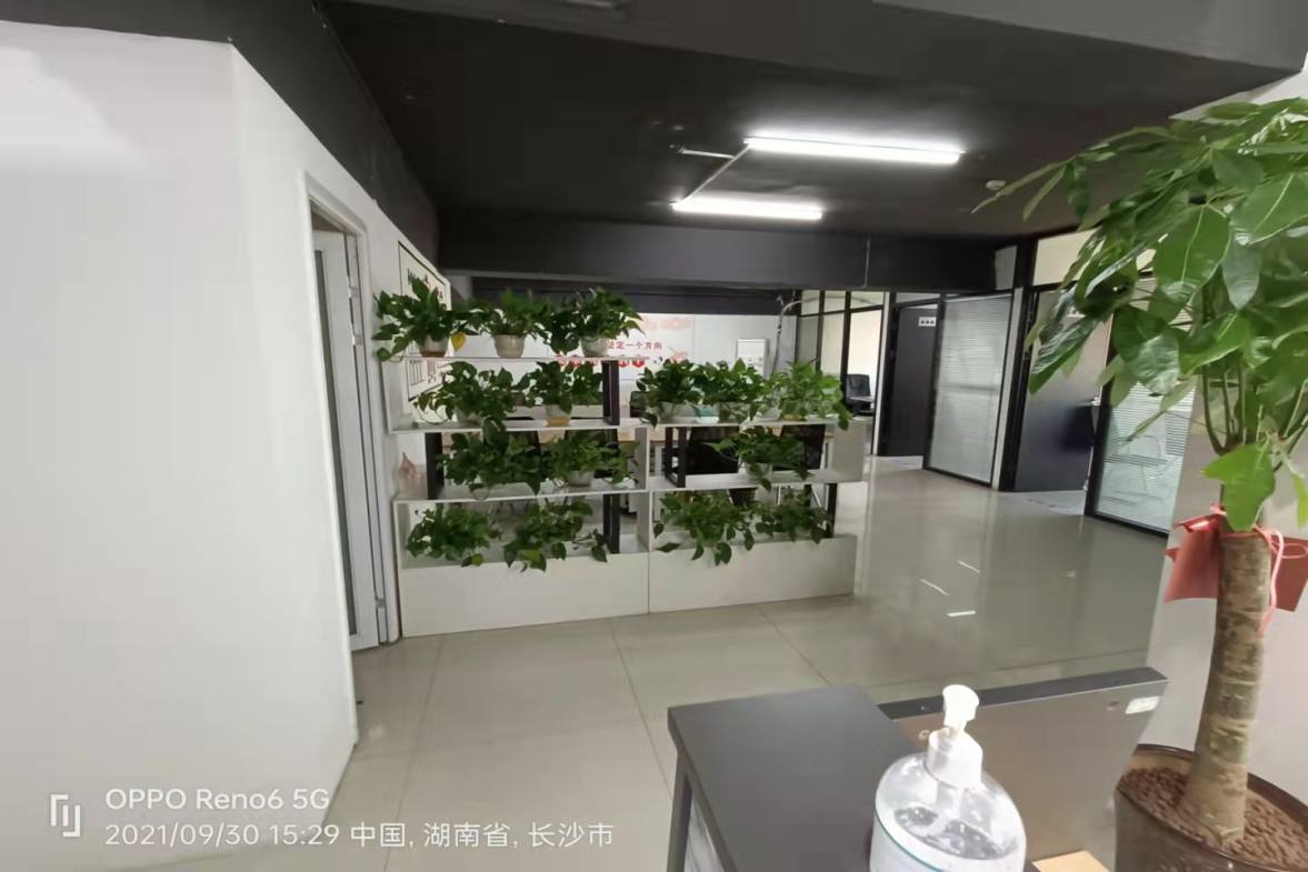 嘉盛国际广场  1室1厅1卫   9000.00元/月室内图