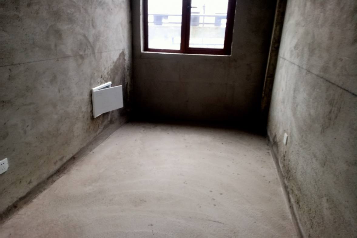 星湖湾二期洋房  5室2厅2卫    3000.0元/月室内图