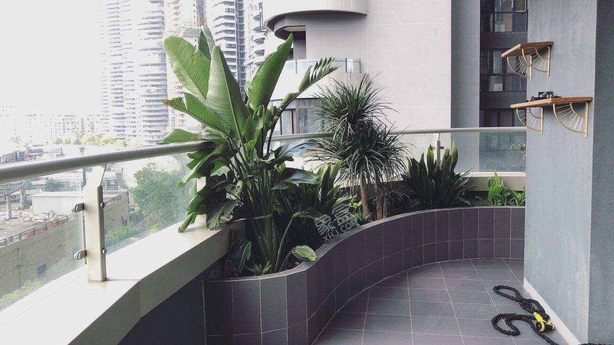 龙湖世纪峰景  2室1厅1卫    5300.0元/月室内图