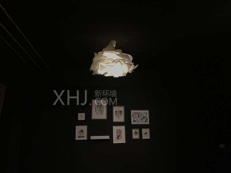 龙湖世纪峰景  5室1厅4卫    5000.0元/月室内图