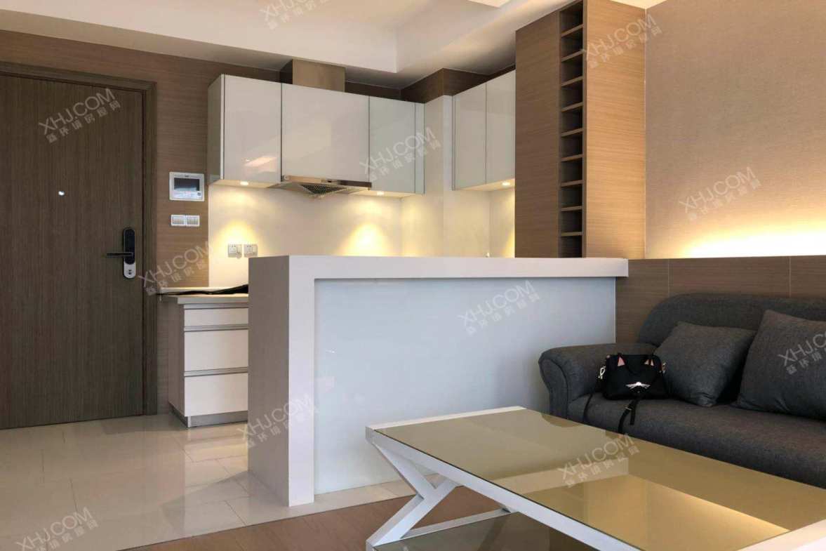 都城雅颂居二期  1室1厅1卫    3000.0元/月室内图