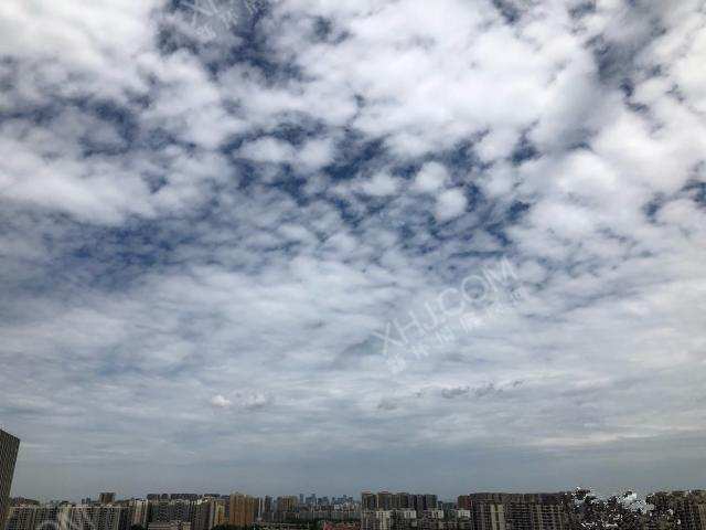 成都青羊万达广场  1室0厅1卫   2000.00元/月室内图