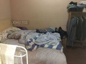 海棠月色  1室1厅1卫    93.0万