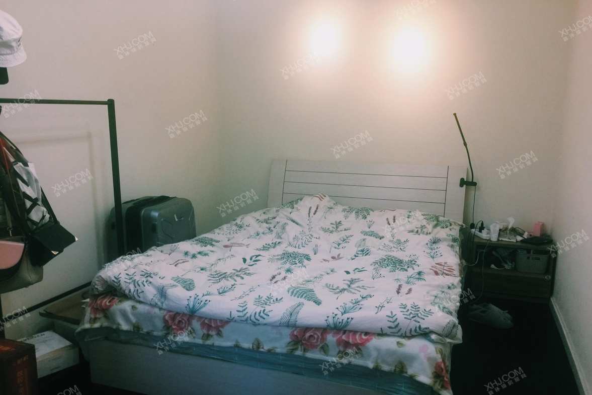 蓝光sofa社区  2室1厅1卫    2400.0元/月室内图