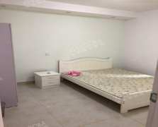 智地哥谭LOFT公寓  3室1厅1卫   3500.00元/月