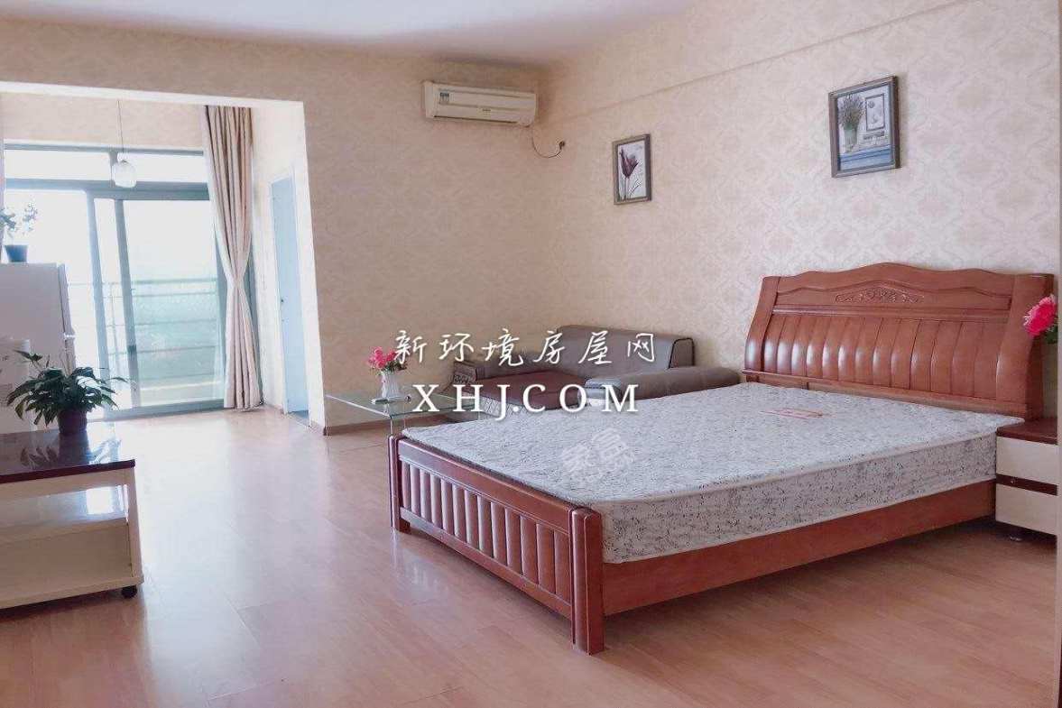 大地新光华  1室1厅1卫    1700.0元/月室内图