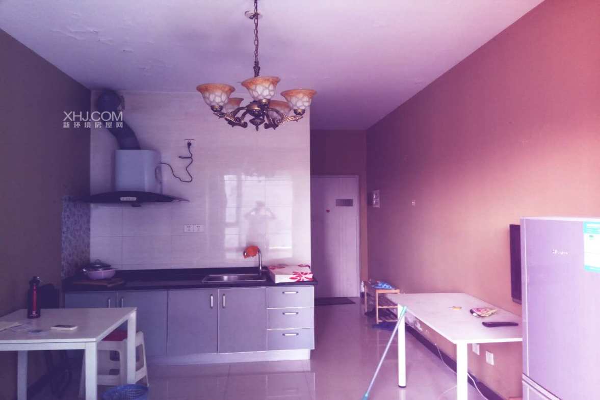 置信玉园清水湾  1室1厅1卫    1000.0元/月室内图1