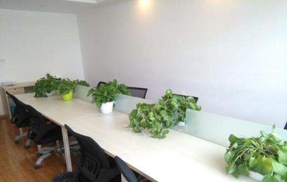 蜀都中心一期  1室1厅1卫    3600.0元/月室内图