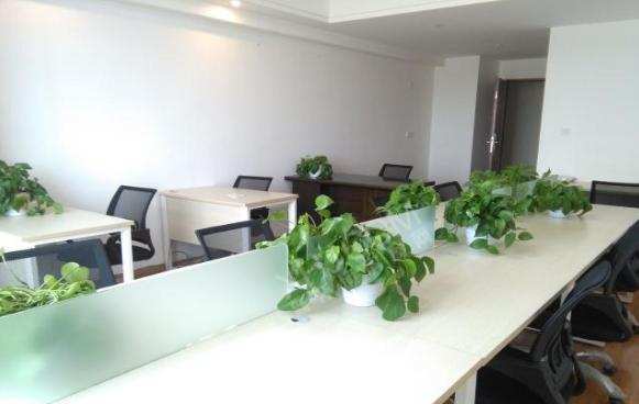 蜀都中心一期  1室1厅1卫    3600.0元/月室内图