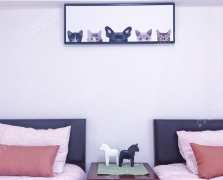 枫丹国际公寓  2室1厅1卫    5500.0元/月