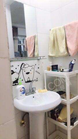 南湖春天  1室1厅1卫    1300.0元/月室内图