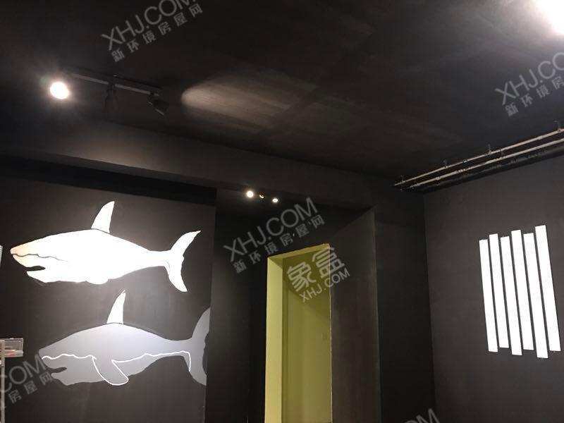 龙湖世纪峰景  5室2厅4卫    6500.0元/月室内图