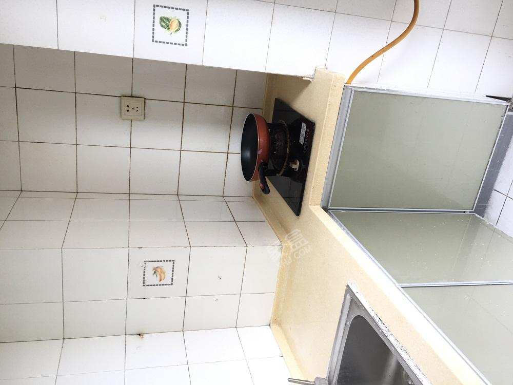 海棠月色  1室1厅1卫    1500.0元/月室内图