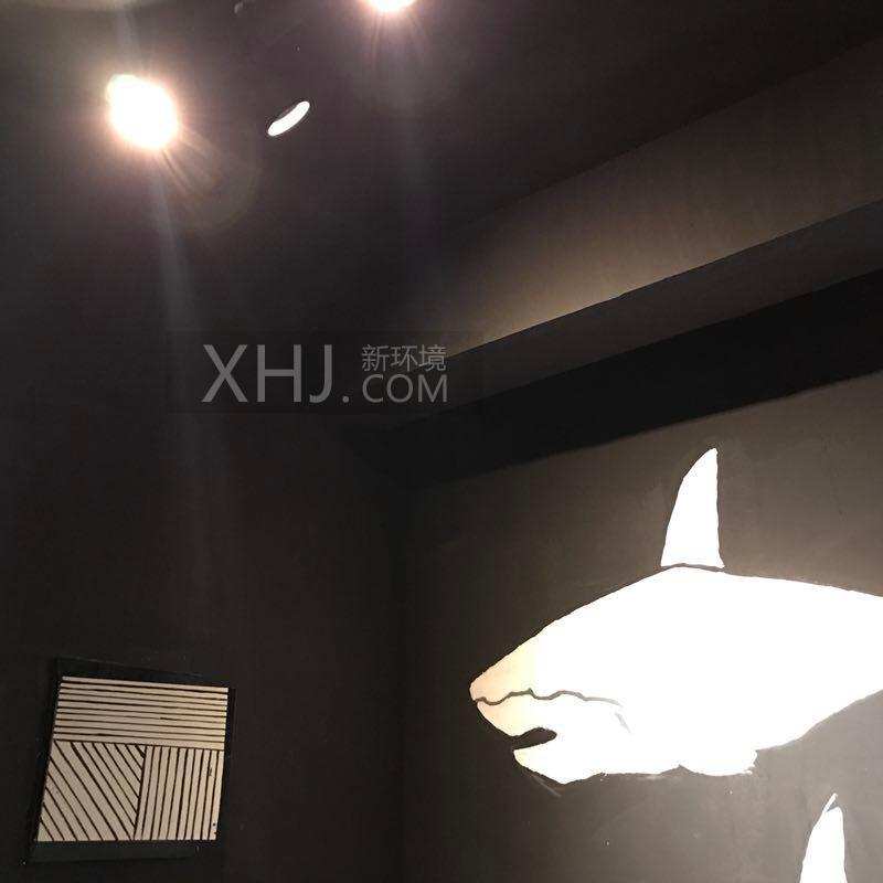 龙湖世纪峰景  5室1厅4卫    5000.0元/月室内图