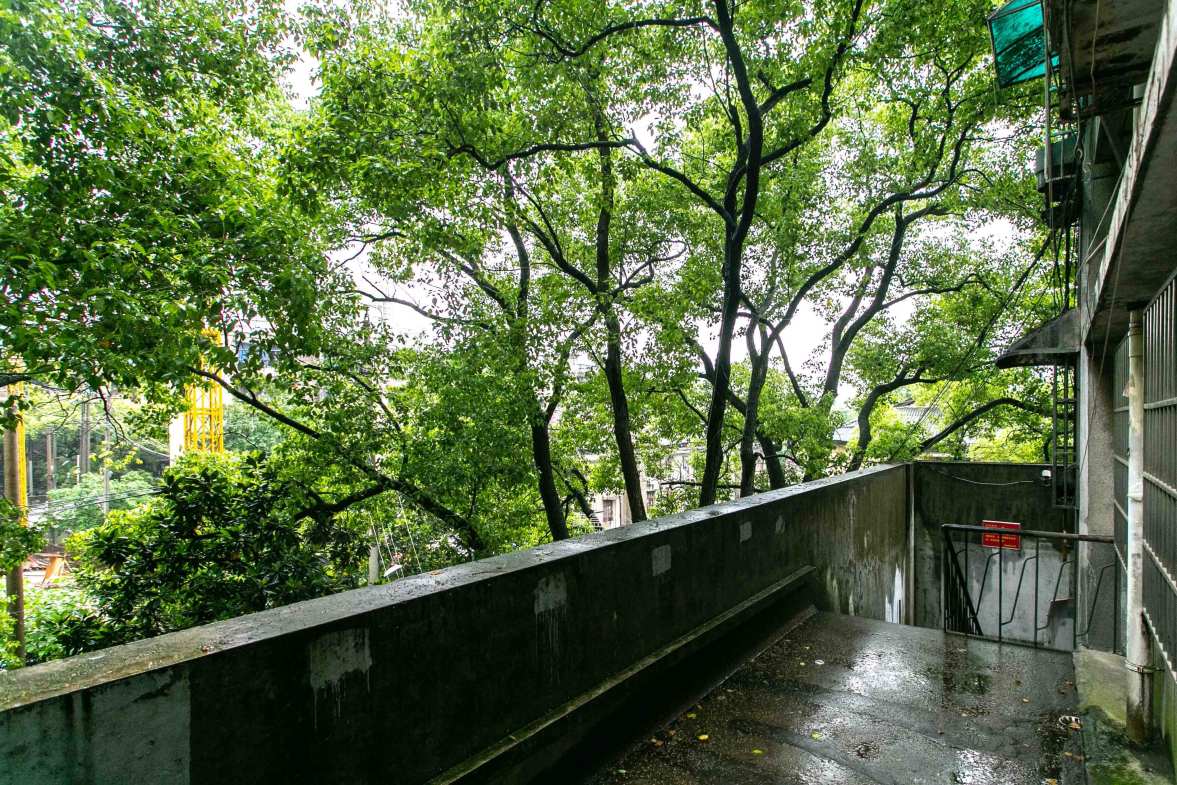 正圆小区（树木岭）  3室1厅1卫   68.00万小区图