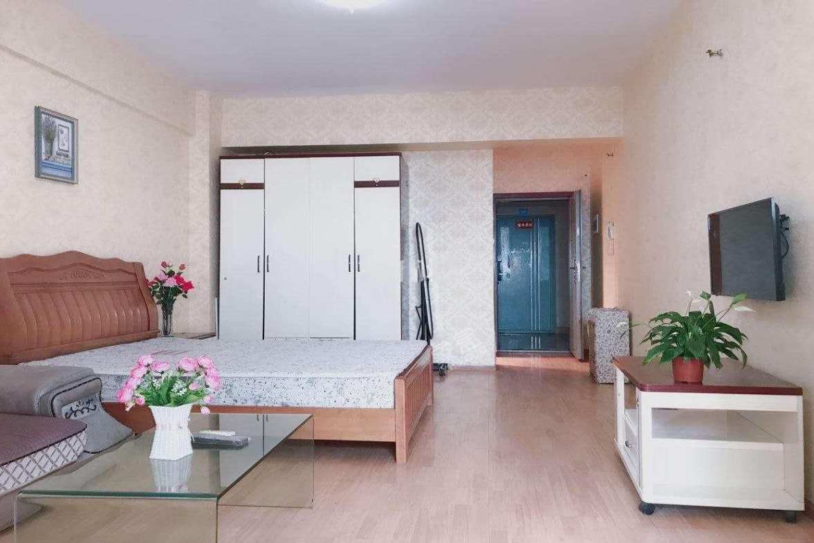 大地新光华  1室1厅1卫    1700.0元/月室内图