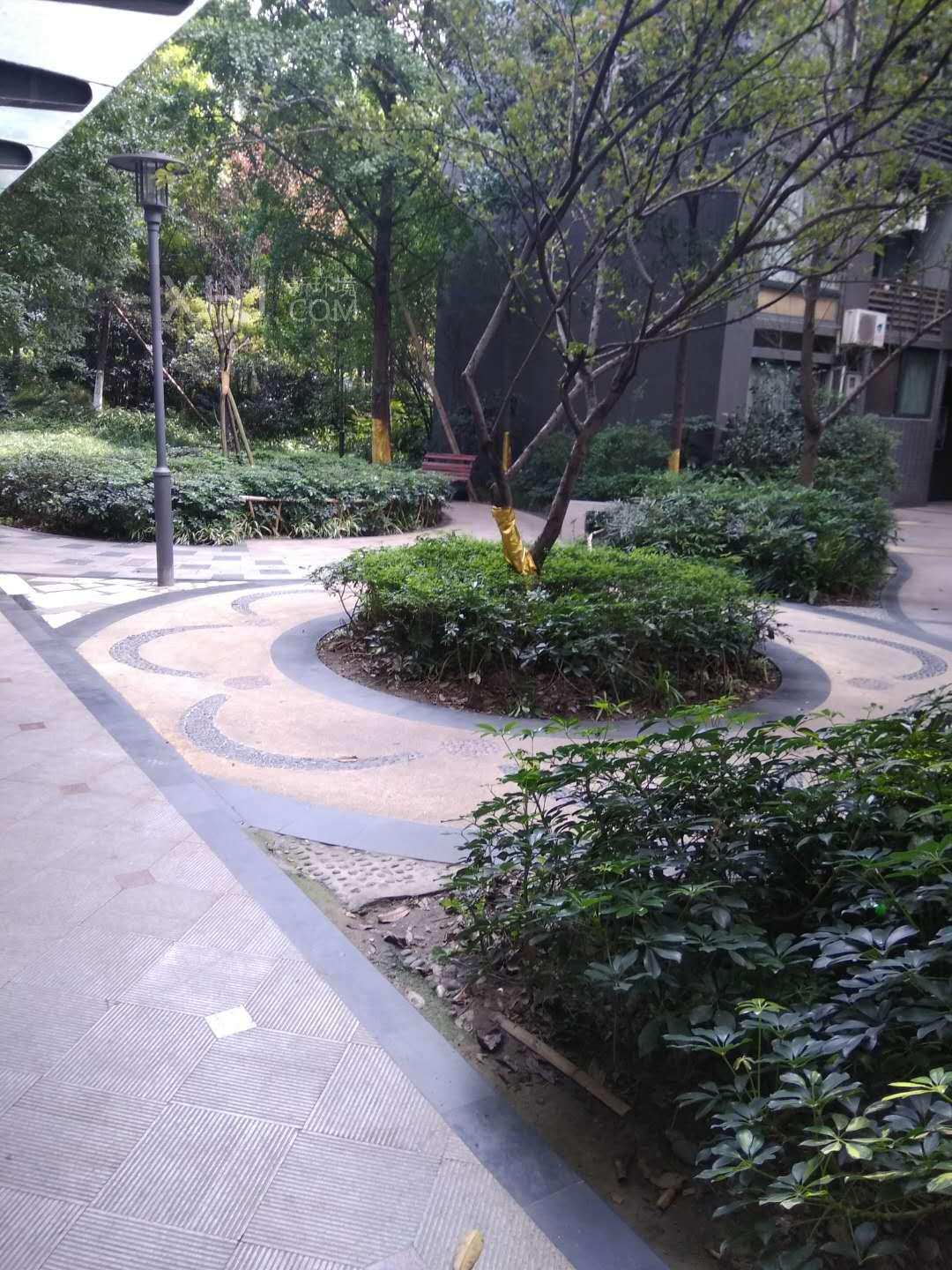 置信玉园清水湾  1室0厅1卫    1000.0元/月室内图